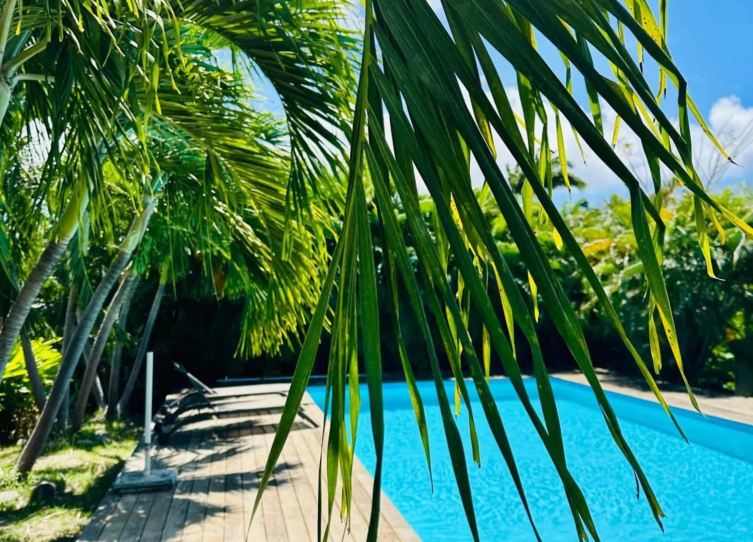 Domaine De Grande Terre Bed & Breakfast Saint-Francois  Saint-Francois (Grande-Terre)